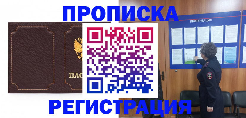 прописка в Чудово